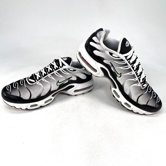 nike air max plus fresh perspective
